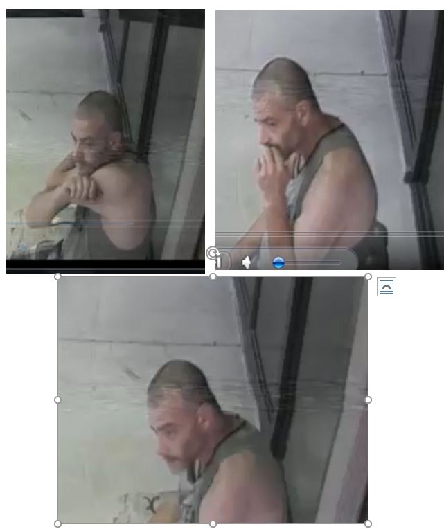 Grand Larceny Suspect