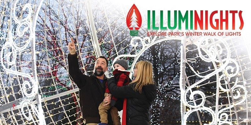 Illuminights Visitors