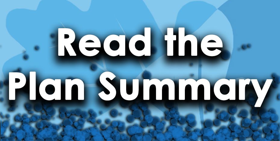 Read the Plan Summary