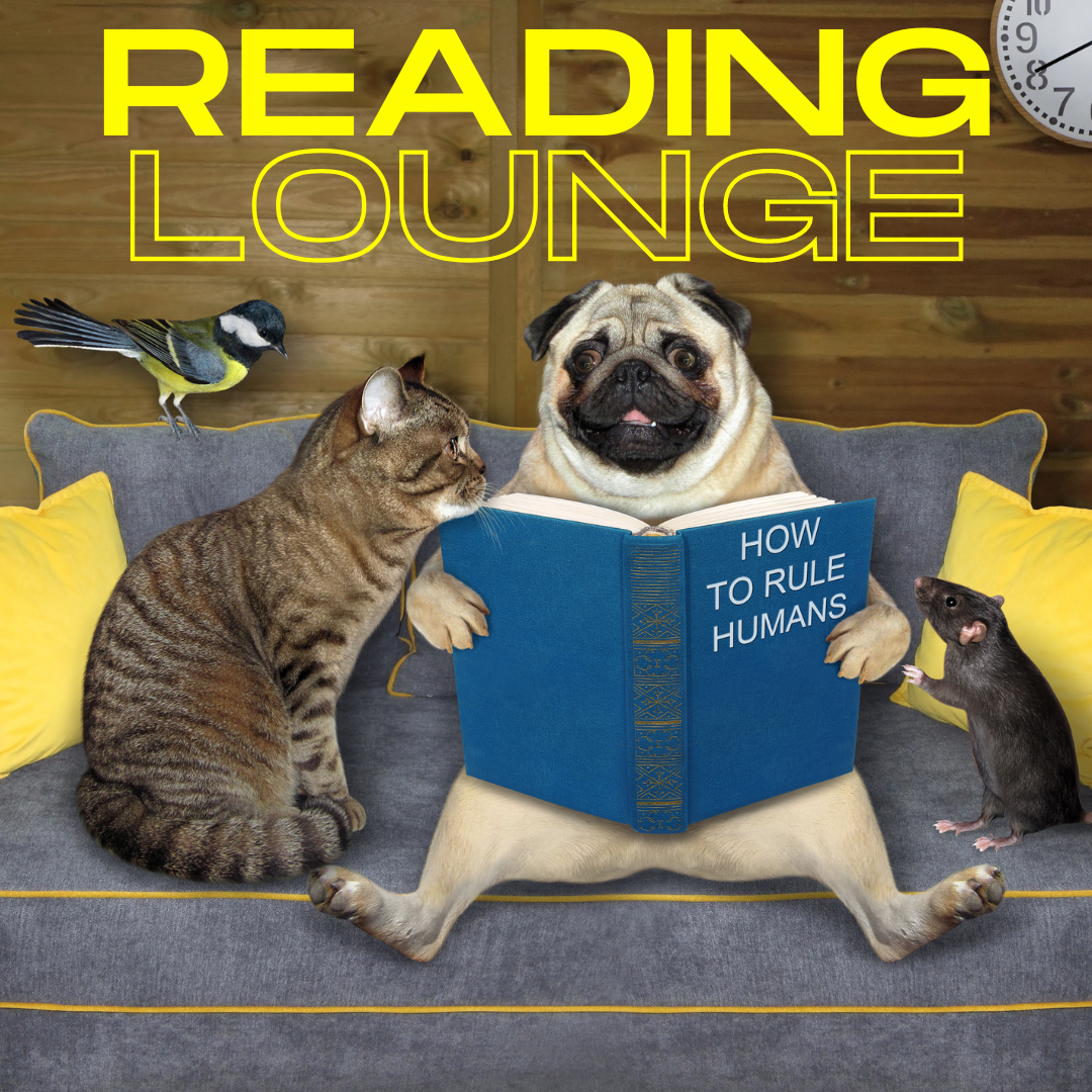 Reading Lounge Update
