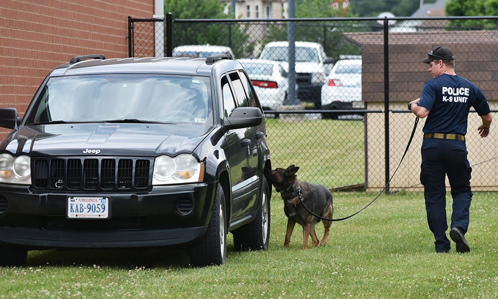 K9 Training