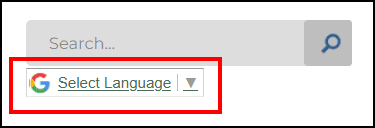 Use Google Translate Widget At Top