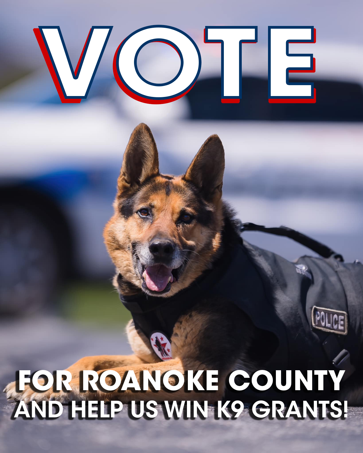 Aftermath K9 Grant Voting