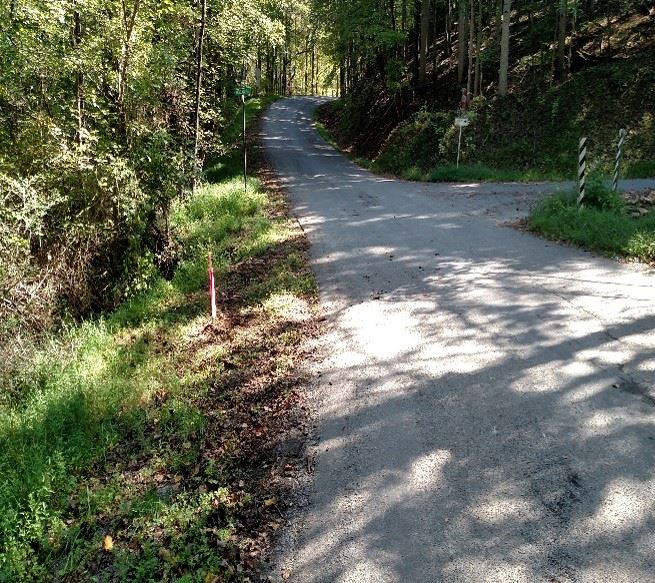 Photo of Highland Road