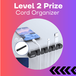 Level 2 Prize_ Cord Organizer