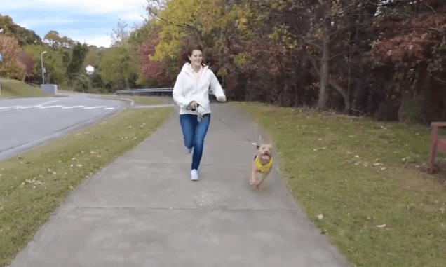 Adventure Dog Moki going for a run