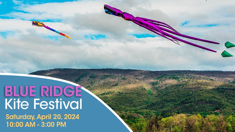 Blue Ridge Kite Festival Banner